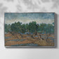 Olive Trees, 1889 - Floater Framed Canvas Print