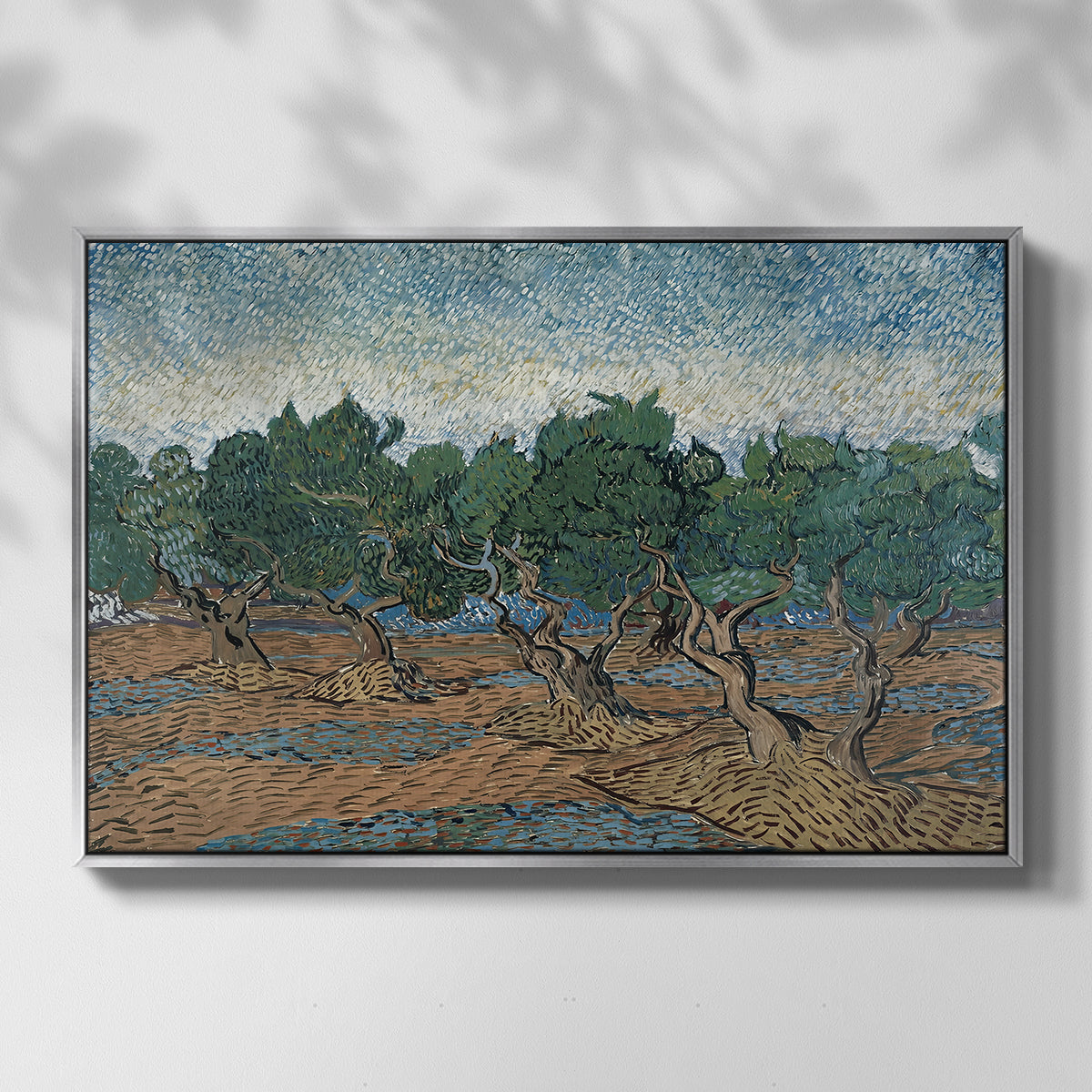 Olive Trees, 1889 - Floater Framed Canvas Print