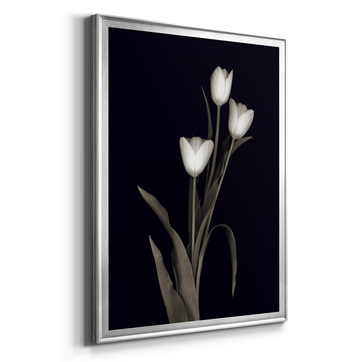 Tulip Pose I - Modern Framed Canvas Print