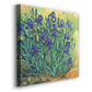 Irises in Bloom II - Canvas Art Print