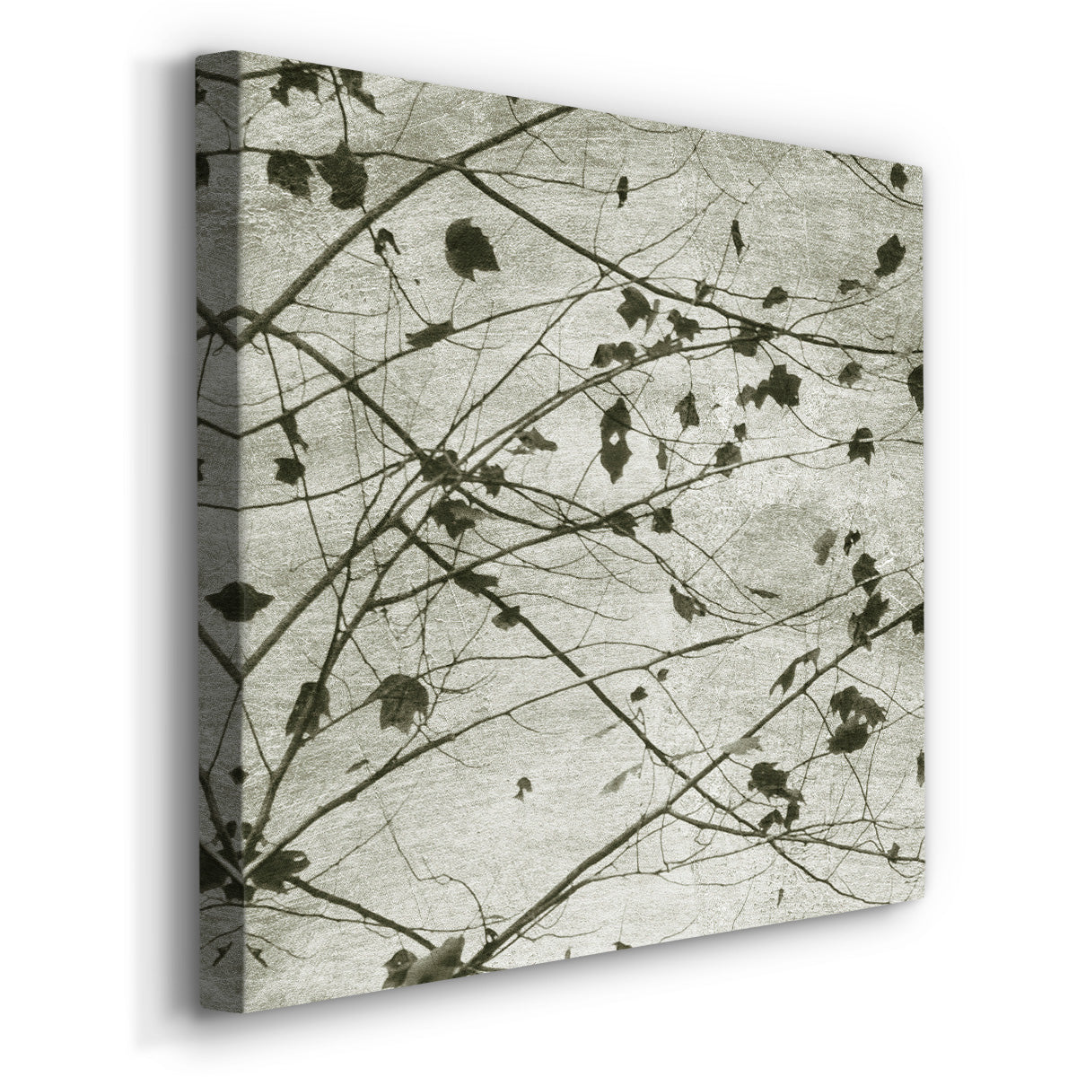 Laced Sky I - Canvas Art Print