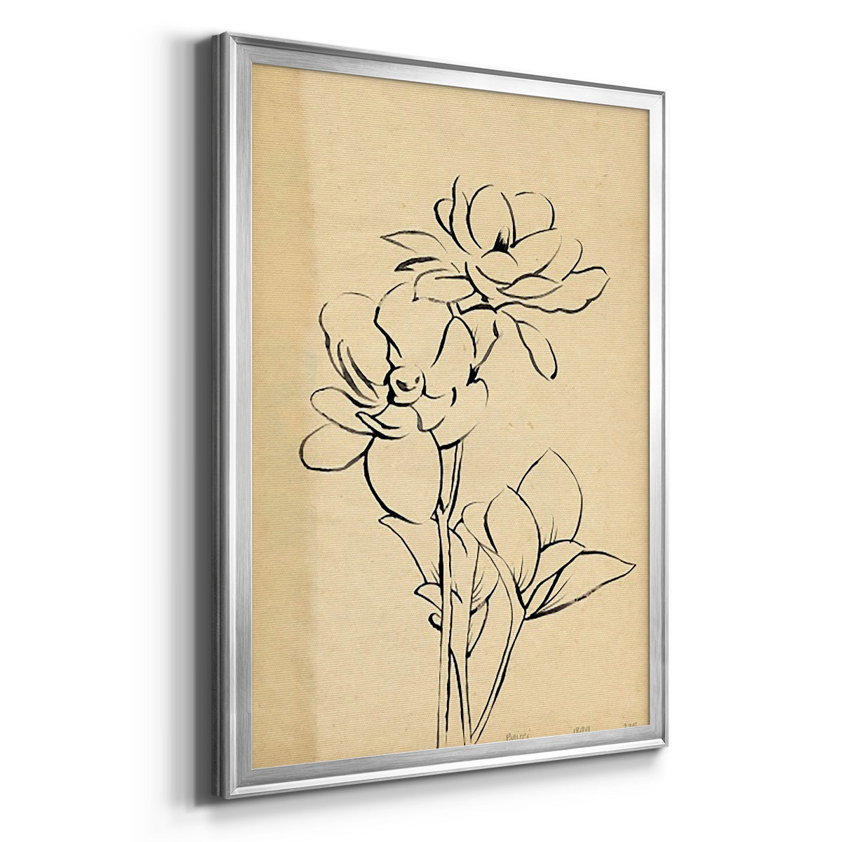 Magnolia Sketch II - Modern Framed Canvas Print