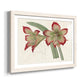 Amaryllis Varietals IV-Premium Framed Print - Ready to Hang