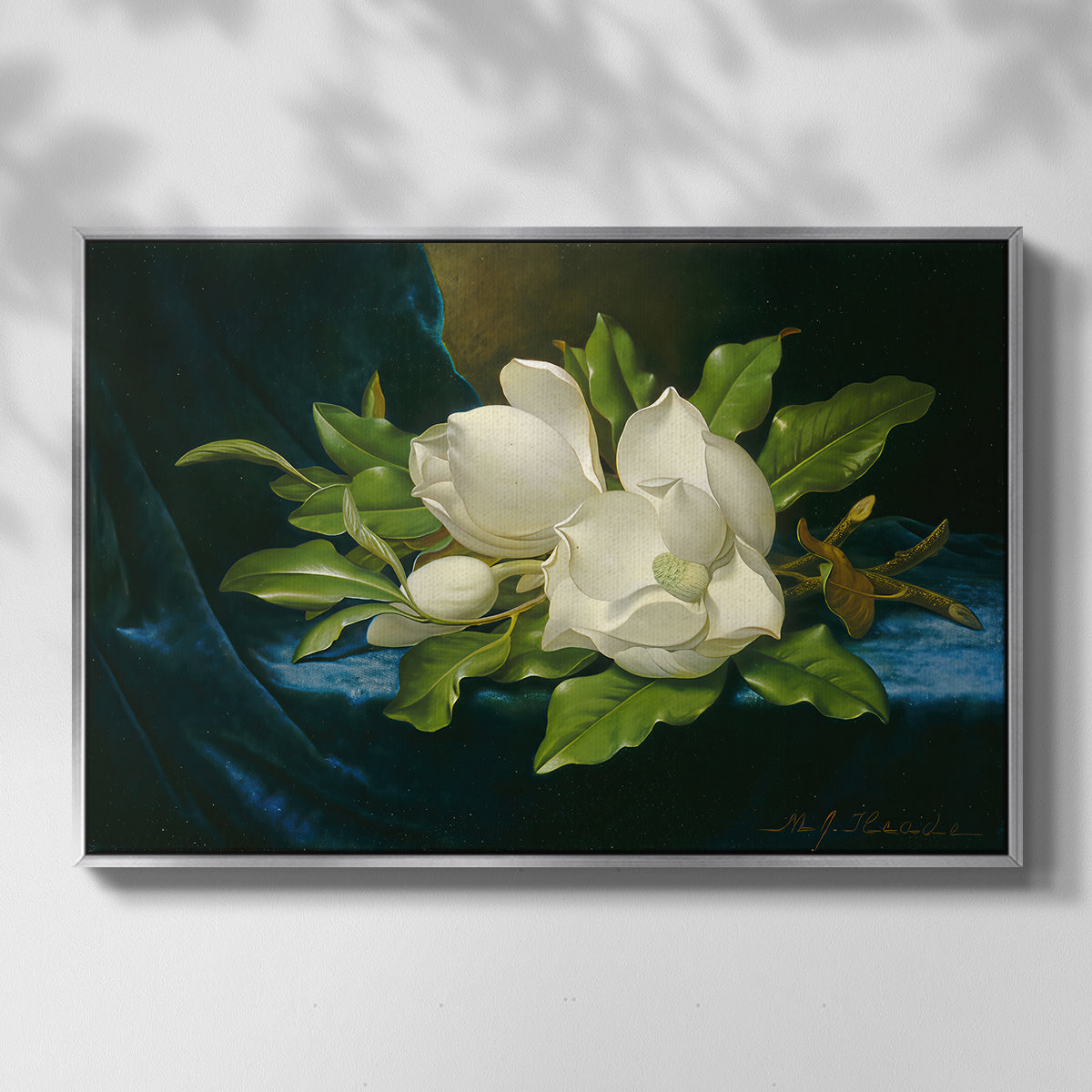 Giant Magnolias on a Blue Velvet Cloth, c. 1890 - Floater Framed Canvas Print