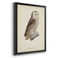 French Owls V - Modern Framed Canvas Print