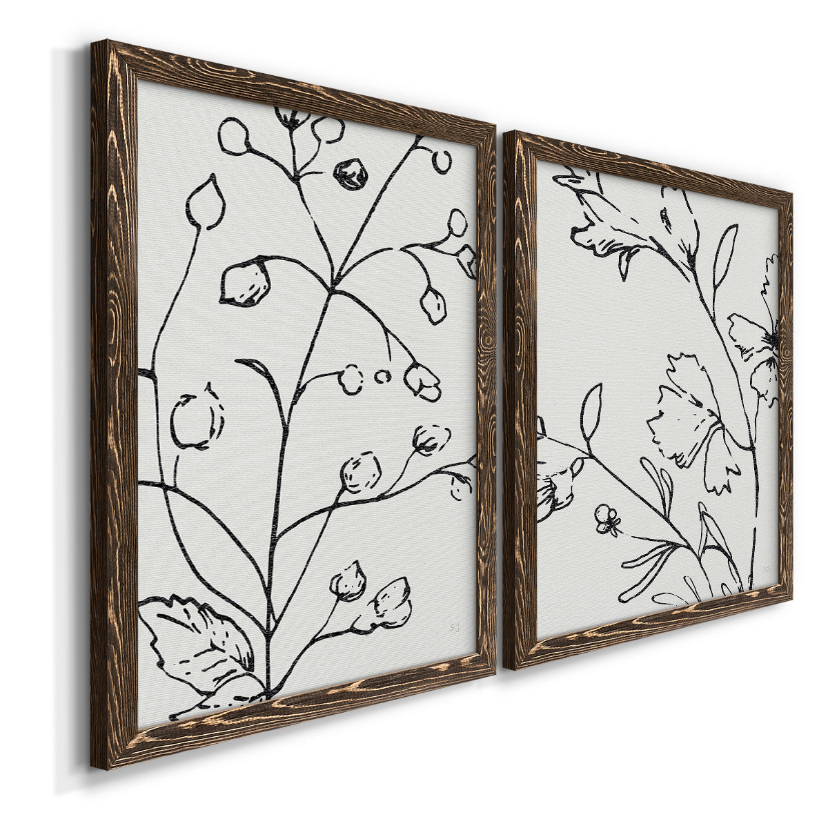 Botanical Sketch I   - Premium Framed Canvas 2 Piece Set - Ready to Hang