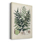 Collected Ferns VII Premium Gallery Wrapped Canvas - Ready to Hang