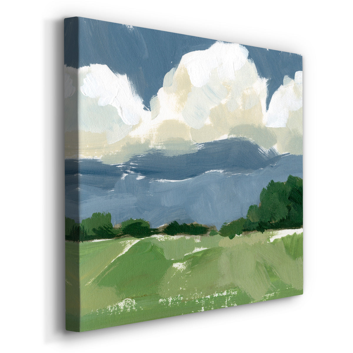 Spring Meadow Study I-Premium Gallery Wrapped Canvas - Ready to Hang