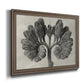 Blossfeldt Botanical VIII Premium Framed Canvas- Ready to Hang