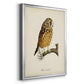 French Owls II - Modern Framed Canvas Print