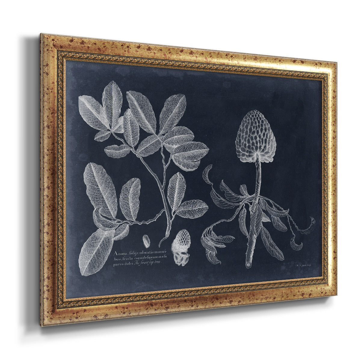 Foliage on Navy II Premium Framed Canvas- Ready to Hang