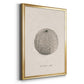 Shore Treasure Study I - Modern Framed Canvas Print