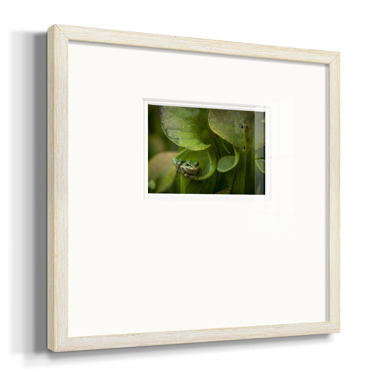 Arboreal Refuge Premium Framed Print Double Matboard