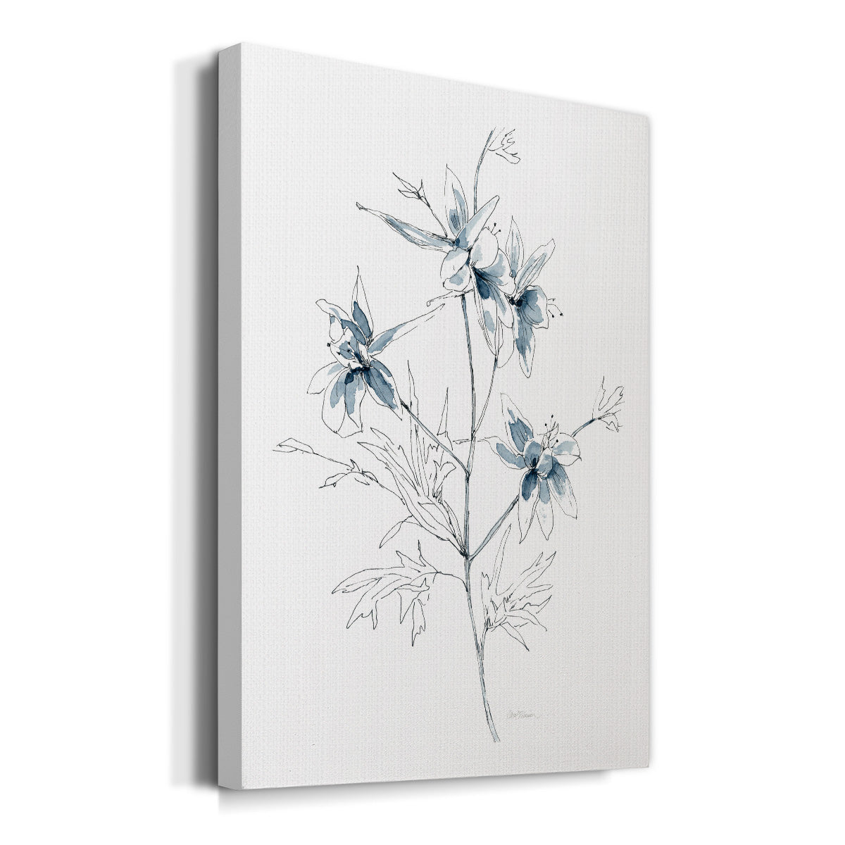 Indigo Sketch II Premium Gallery Wrapped Canvas - Ready to Hang