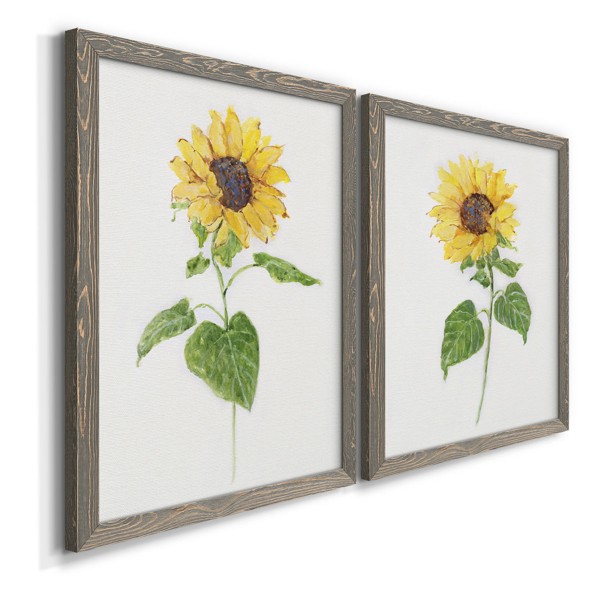 Sunflower I   - Premium Framed Canvas 2 Piece Set - Ready to Hang