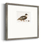 Golden Mallard Premium Framed Print Double Matboard