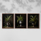 Floral Study Series LXXI - Restickable Framed Art Set
