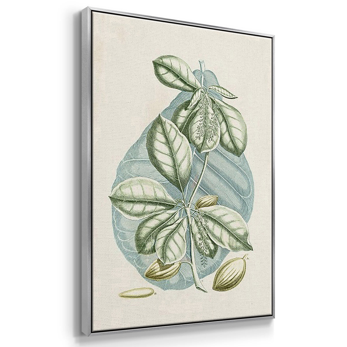 Buchoz Tropicals IX - Framed Premium Gallery Wrapped Canvas L Frame 3 Piece Set - Ready to Hang