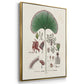 Botanical Society Ferns I - Framed Premium Gallery Wrapped Canvas L Frame 3 Piece Set - Ready to Hang