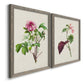 Pretty Pink Botanicals V - Premium Framed Canvas 2 Piece Set - Ready to Hang