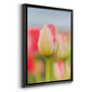 Twotone Tulip - Modern Framed Canvas Print