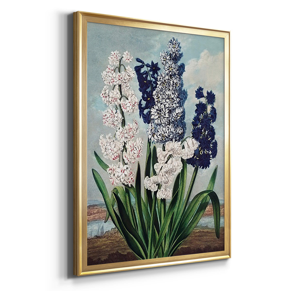 Temple of Flora XII - Modern Framed Canvas Print