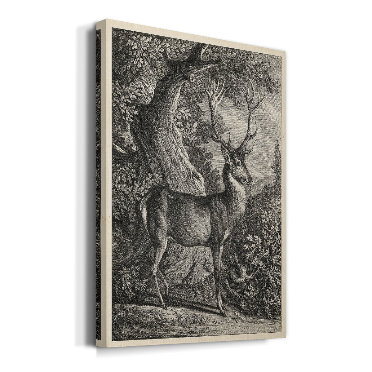 Woodland Deer I Premium Gallery Wrapped Canvas - Ready to Hang