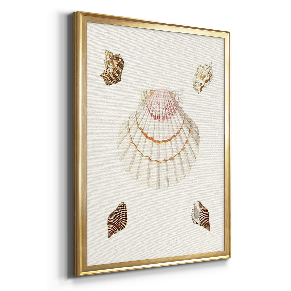 Pastel Knorr Shells IV - Modern Framed Canvas Print