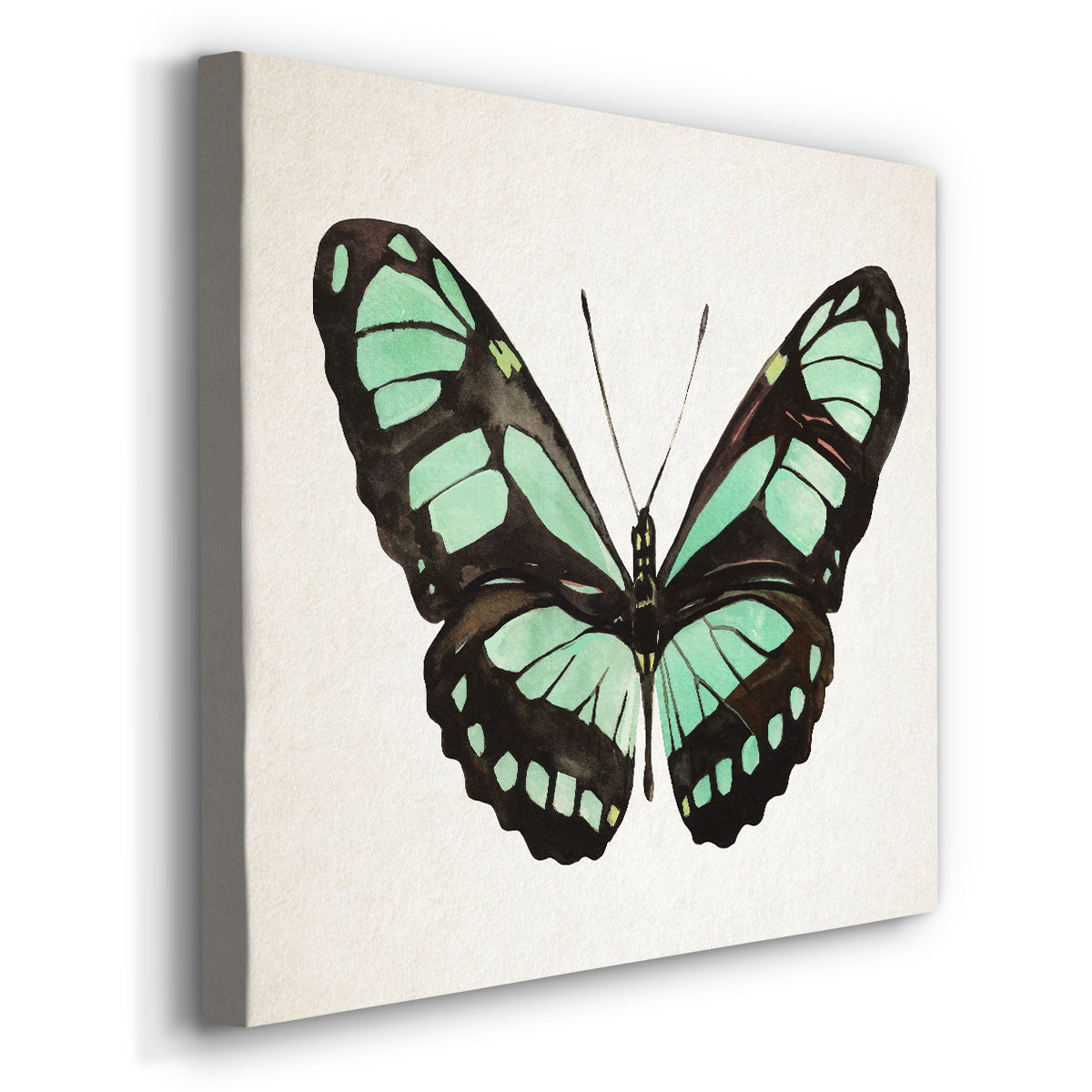 Mint Butterfly II - Canvas Art Print