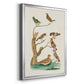 Antique Birds in Nature III - Modern Framed Canvas Print