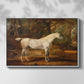 Grey Arabian Stallion, Property of Sir Watkin Williams-Wynn, c. 1817 - Floater Framed Canvas Print