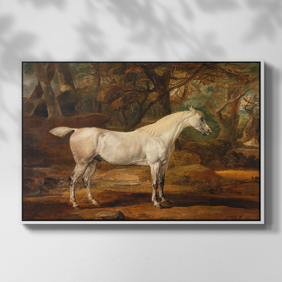 Grey Arabian Stallion, Property of Sir Watkin Williams-Wynn, c. 1817 - Floater Framed Canvas Print