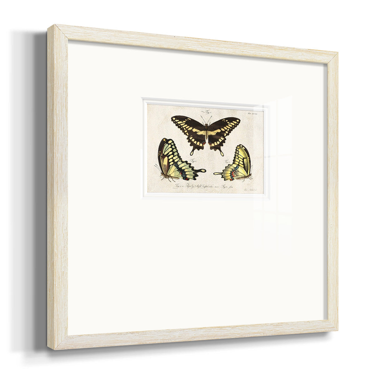 Crackled Butterflies I - Double Matboard Framed Print