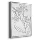 Botanical Sketch II - Modern Framed Canvas Print