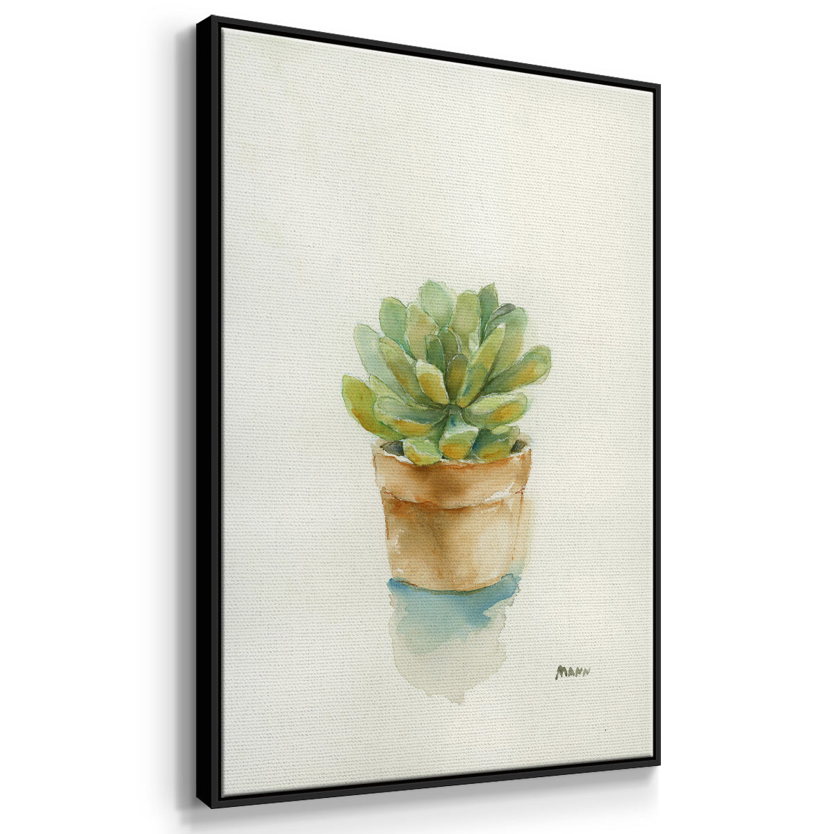 Succulent II - Framed Premium Gallery Wrapped Canvas L Frame - Ready to Hang