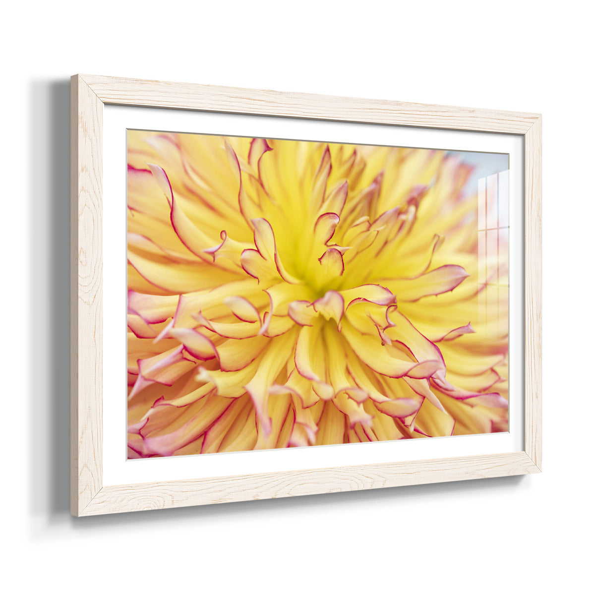 Blooms III - Barnwood Framed Art Print