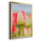 Twotone Tulip - Modern Framed Canvas Print