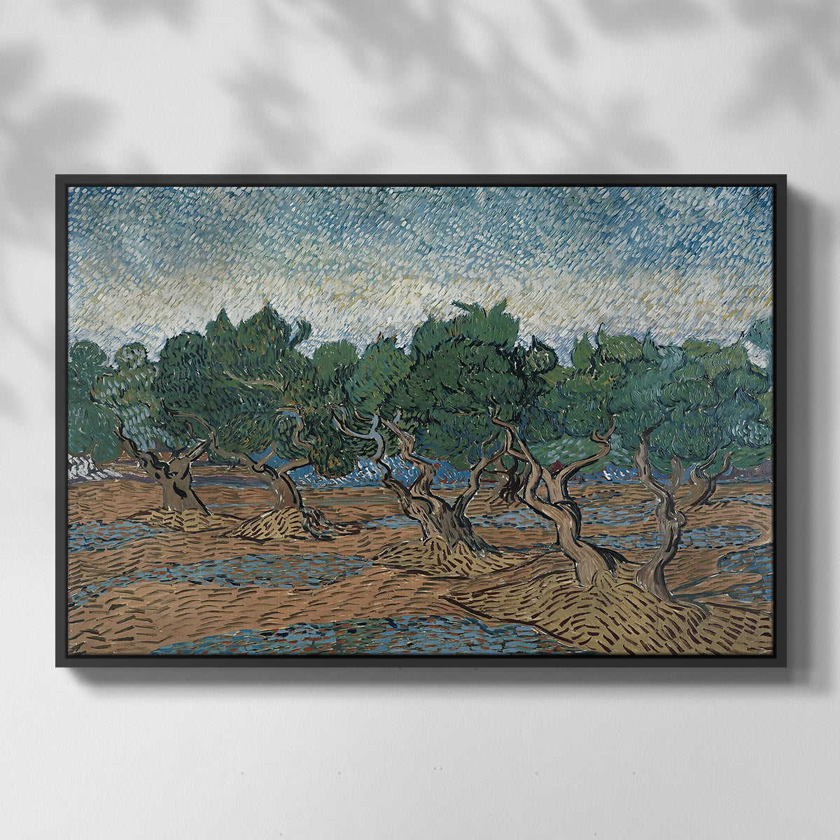 Olive Trees, 1889 - Floater Framed Canvas Print
