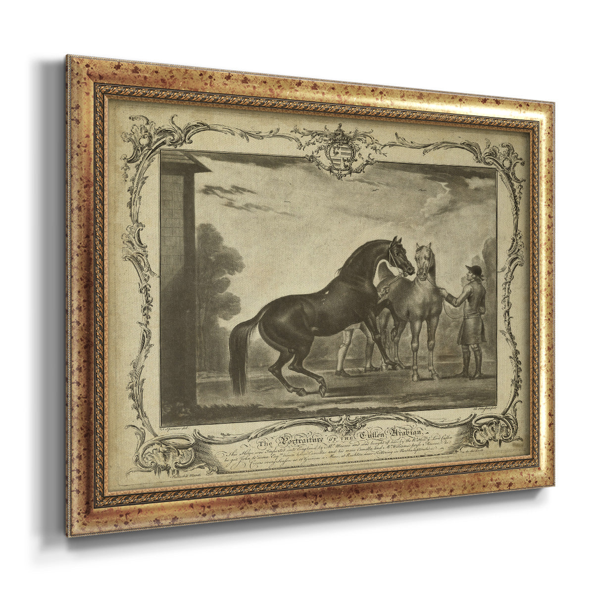 Distinguished Horses III Premium Framed Canvas- Ready to Hang