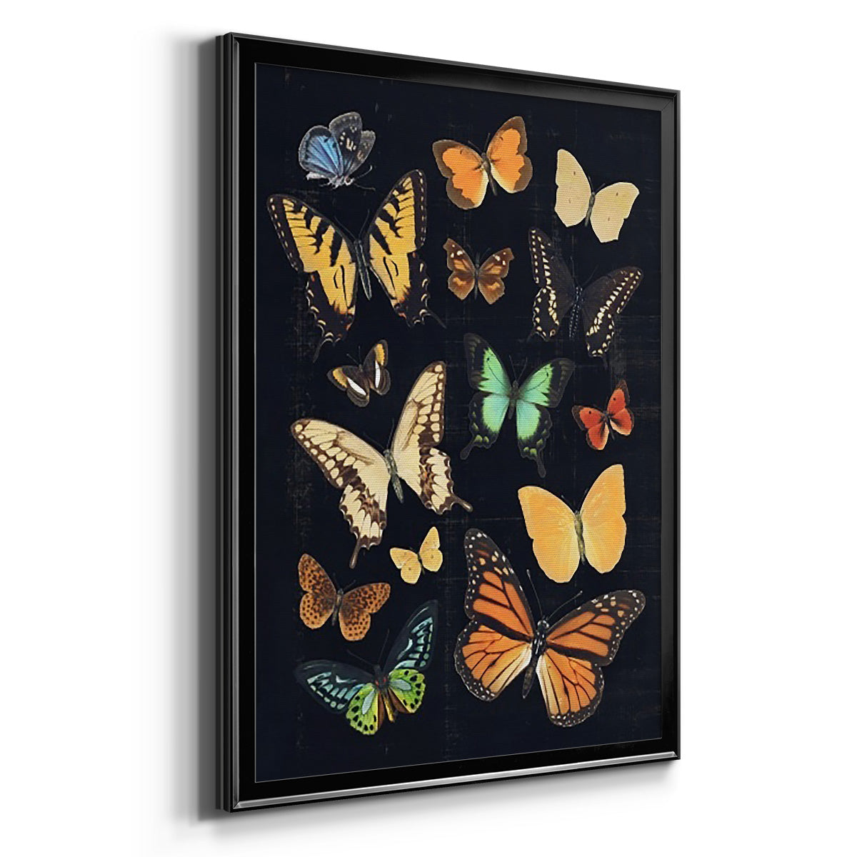 Collected Flutter III - Modern Framed Canvas Print