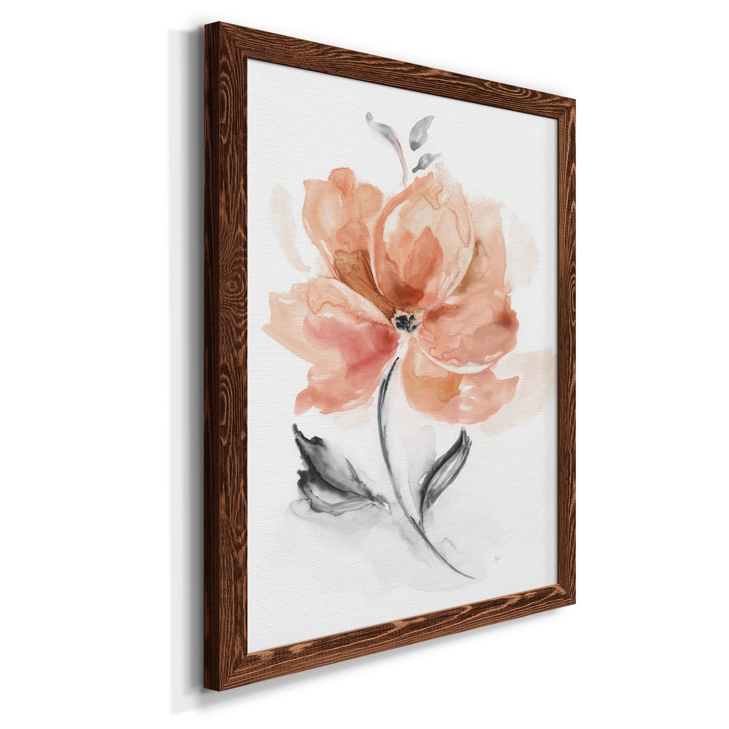 Soft Sensation I - Premium Canvas Framed in Barnwood - Ready to Hang