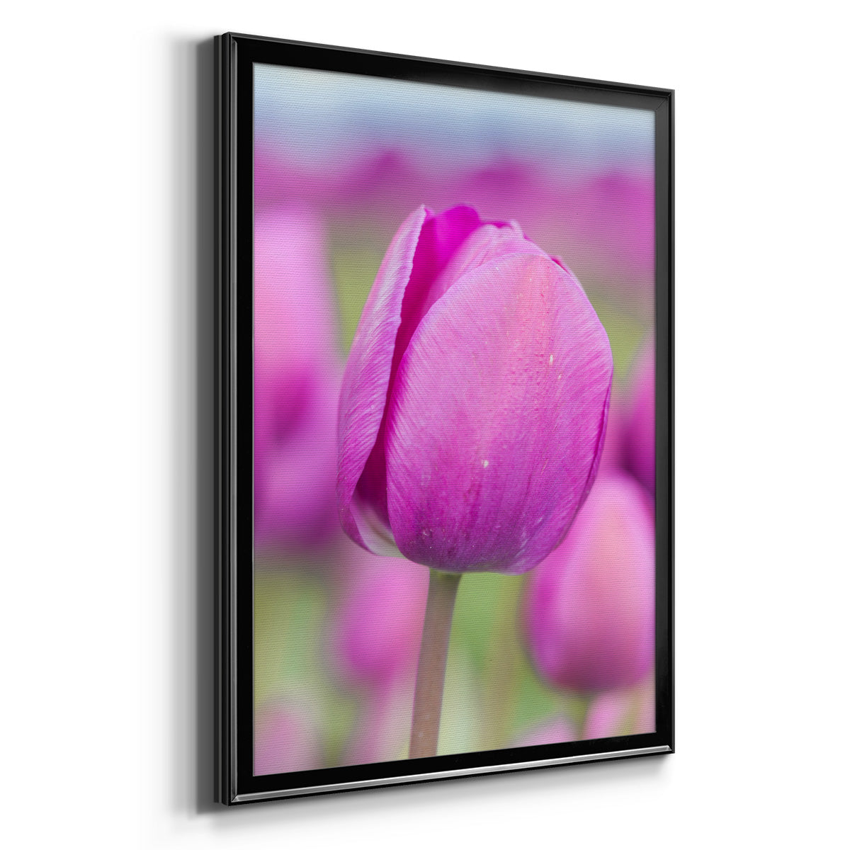 Magenta Stem - Modern Framed Canvas Print