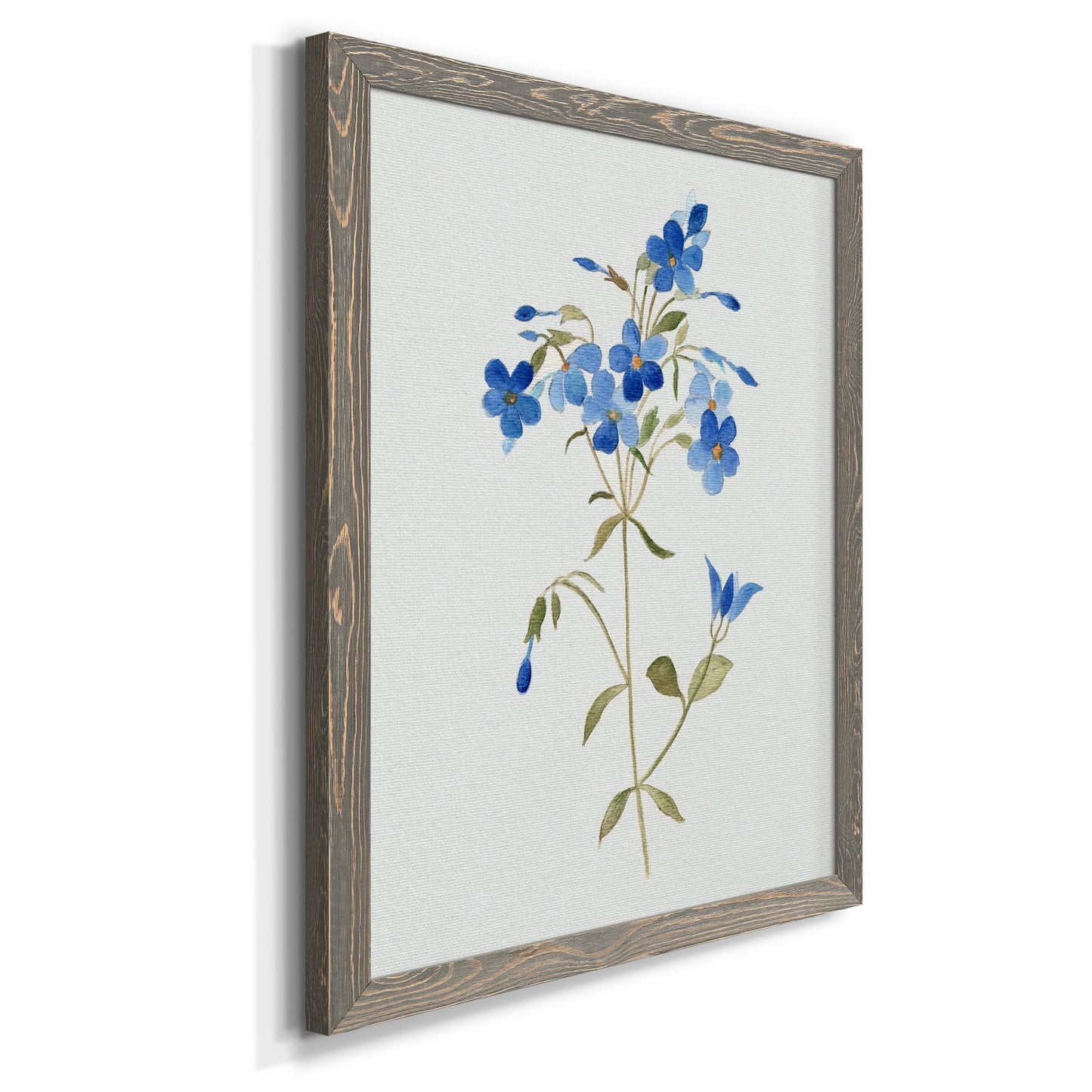 Blue Blossom Botanical II - Premium Canvas Framed in Barnwood - Ready to Hang