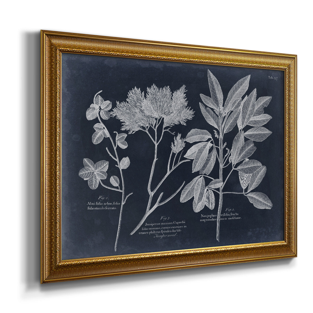 Foliage on Navy VI Premium Framed Canvas- Ready to Hang