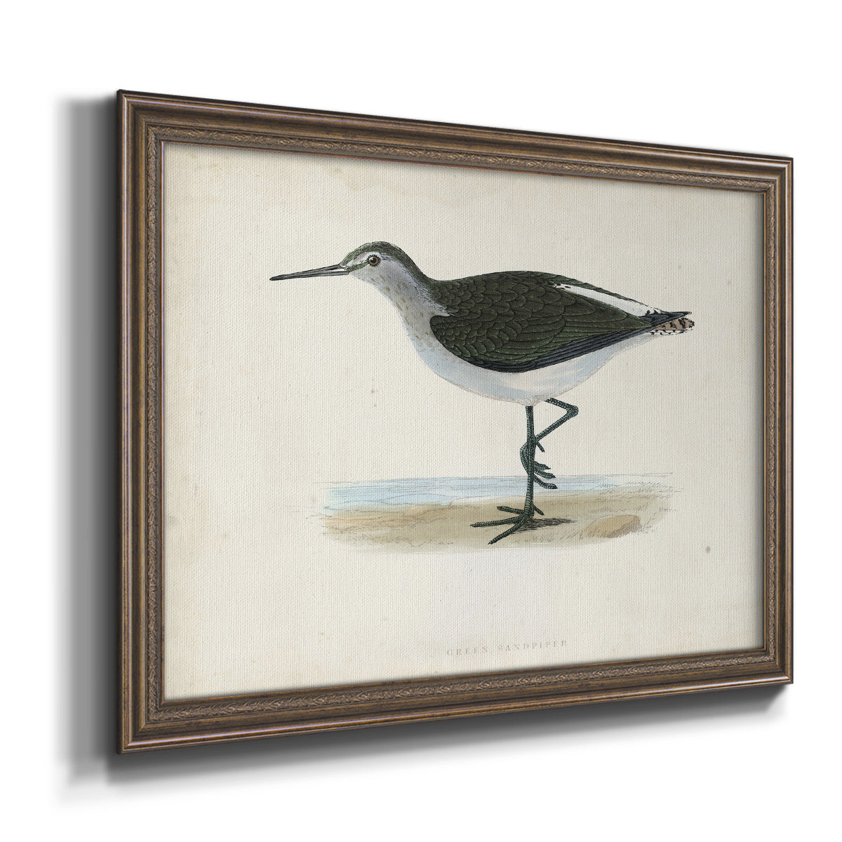 Morris Sandpipers VI Premium Framed Canvas- Ready to Hang