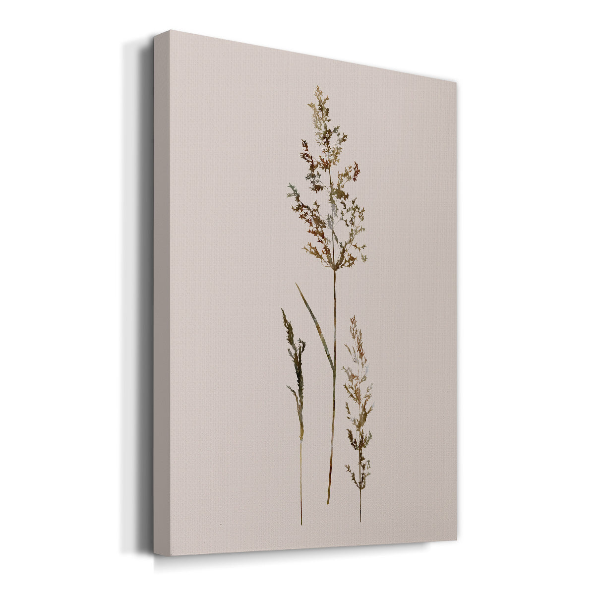 Delicate Stems II - Canvas Art Print