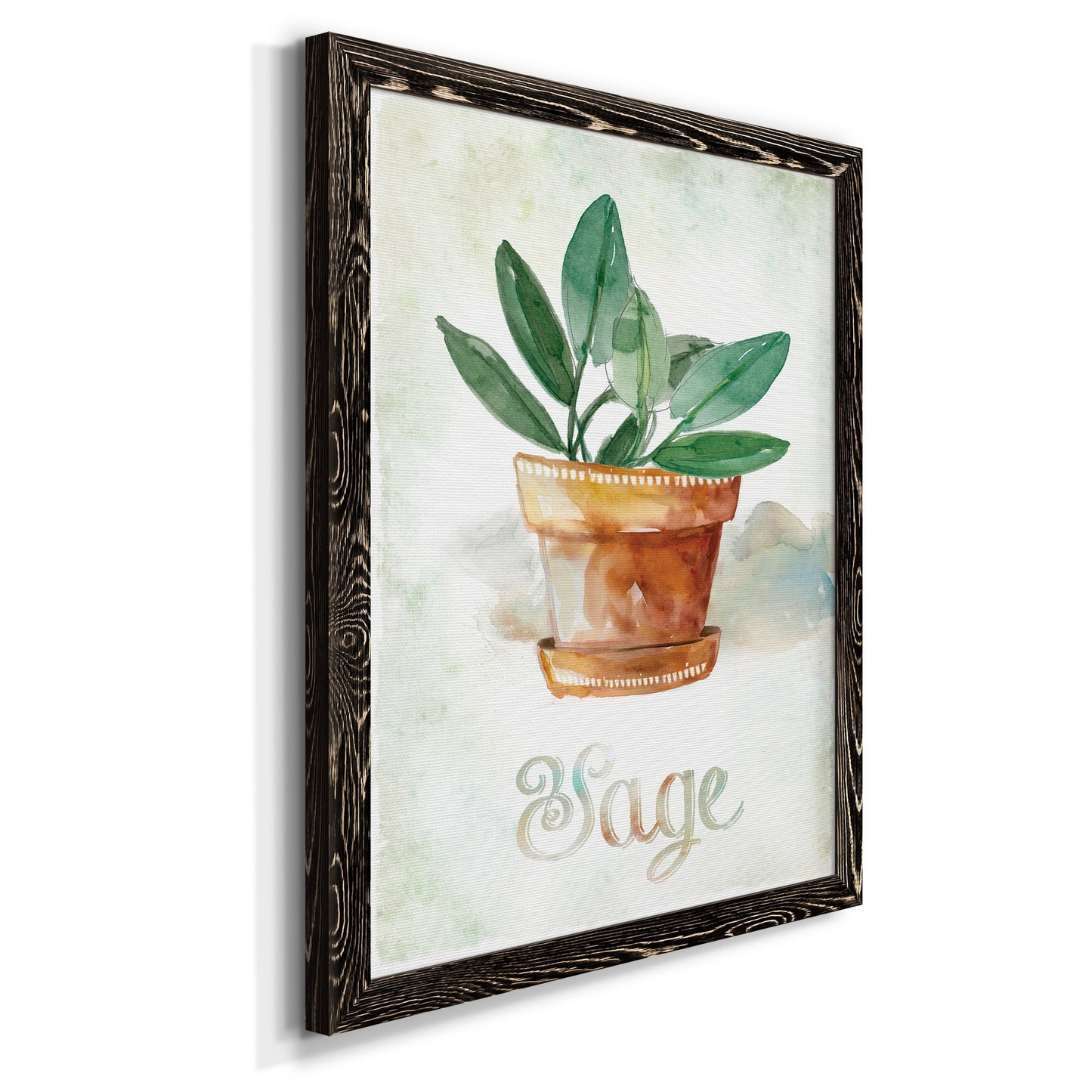 Potted Sage - Premium Canvas Framed in Barnwood - Ready to Hang