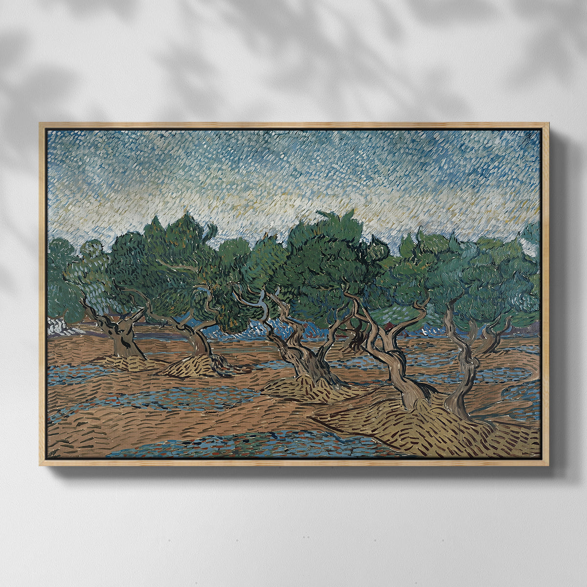 Olive Trees, 1889 - Floater Framed Canvas Print