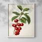 Antique Fruit II - Restickable Framed Art Print