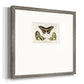 Crackled Butterflies I - Double Matboard Framed Print